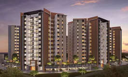 pride-purple park ivory